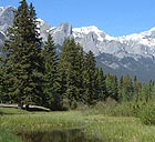 local trail in Canmore