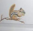 How many little critters will you spot at Off our Rockies?