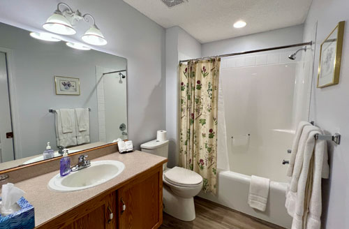 bathroom and shower